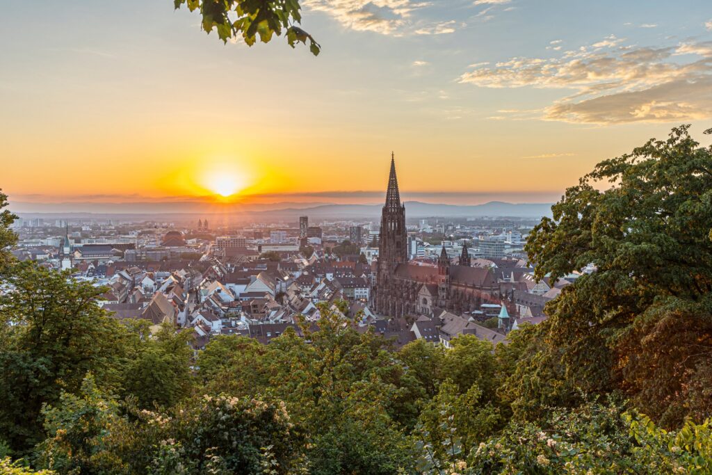 Freiburg im Breisgau mit Münster im Abendlicht